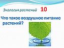 Что такое воздушное питание растений