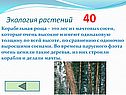 Корабельная роща – это лес из мачтовых сосен, которые очень высокие и имеют одинаковую толщину по всей высоте