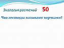 Что лесоводы называют торчками