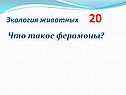 Что такое феромоны