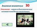 Этология – наука о биологических основах поведения животных