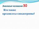 Кто такие организмы-синантропы