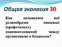 Как называется всё разнообразие пищевых (трофических) взаимоотношений между организмами в биоценозе