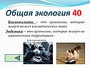 Космополиты – это организмы, которые живут во всех климатических зонах