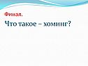 Что такое – хоминг