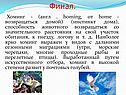 Хоминг