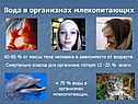 Вода в организмах млекопитающих
