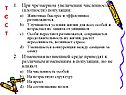 Тест