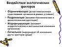 Воздействие экологических факторов