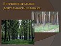 Восстановительная деятельность человека