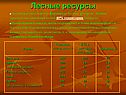 Лесные ресурсы