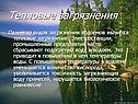 Тепловые загрязнения