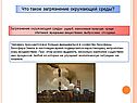Что такое загрязнение окружающей среды