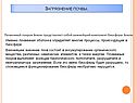 Загрязнение почвы