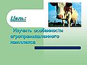 Цель: