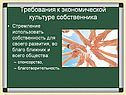 Требования к экономической культуре собственника