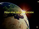 Наш мир разнообразен