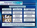 Отраслевой состав химической промышленности