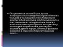 Купцы вынуждены были остерегаться разбойников