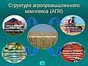 Структура агропромышленного комплекса (АПК)