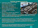 Рыбная промышленность