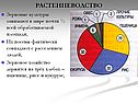 Растениеводство