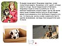 В нашем городе много бездомных животных, и мне очень больно видеть