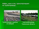 Нефть, как и газ, транспортируют по трубопроводу: