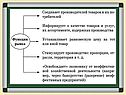 Рыночная система экономики