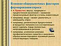 Привычки, вкусы
