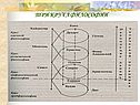 Три круга философии