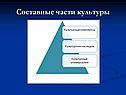 Составные части культуры