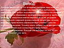 Вывод:
