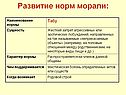 Развитие норм морали