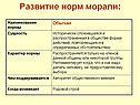 Развитие норм морали
