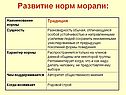 Развитие норм морали