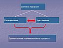 Ступени познания