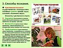 Способы познания