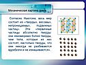 Первичные частицы
