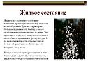 Жидкое состояние