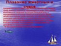 Плавание животных и судов