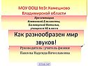 Как разнообразен мир звуков