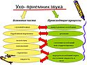 Ухо- приемник звука