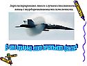 Много случаев столкновения птиц с турбореактивными самолетами