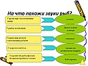 На что похожи звуки рыб