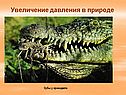 Увеличение давления в природе