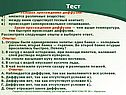 Тест