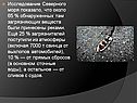 Исследование Северного моря показало, что около 65 % обнаруженных там
