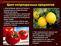 Дисперсия света, цвета тел