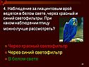 4. Наблюдение за гиацинтовым арой ведется в белом свете, через красный